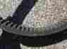 0227-103-ext Arctic Cat Oem Drive Belt Cheetah Cougar Pantera Jag Panther Puma