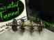 0728-041 Special 01 Driveshaft Zr 600 Powder 00 02 800 2000 99 Cat Arctic