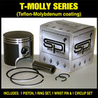 09-712 Part Polaris Carb Cc Piston Kit With Rings 794777160462