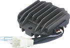 10-001 Ricks Ducati 907 Paso Ie