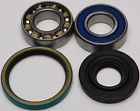 14-1017 All Balls Racing Track Shaft Bearing And Seal Kit