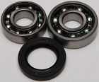 14-1029 All Balls Chain Case Bearing And Seal Kits