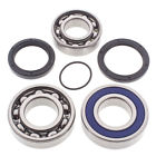 14-1051 All Balls Snowmobile Chain