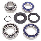 14-1059 All Balls Snowmobile Chain