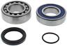 14-1077 All Balls Shaft Bearing And Seal Kit 613310803232