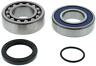 14-1080 All Balls Shaft Bearing And Seal Kit 613310803263