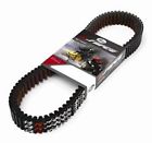 2010 Belt 2008 V-800 Snowmobile 2011 Skandic Swt 2009 Gates Bombardier