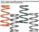 210135-004 Team Polaris Primary Clutch Springs Steel Red