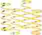 210141-002 Team Ski-doo Primary Clutch Springs Steel Yellow Blue