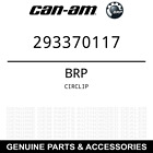 293370117 Brp Renegade Circlip