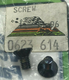 0623-614 2pk Arctic Cat Snowmobile Driven Clutch Machine Screw Fits 1996-1998