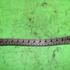 3224024 Not Specified Polaris Chain