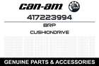 417223994 Brp 2017 Ski-doo Renegade
