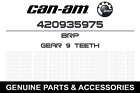 420935975 Brp 1996 2009 Ski-doo