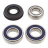 14-1018 500 Ss 04-07 05-08 All Balls New Drive Shaft Kit Lower Gsx Sport