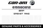 615580812 Brp 2009 2017 Ski-doo