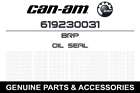 619230031 Brp 2009 2017 Ski-doo