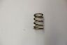 7041148 Polaris Gold Primary Spring