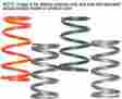 810010 Team Primary Springs For Rapid Response Drive Clutch