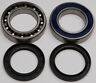 14-1065 All Balls Track Shaft Bearing And Seal Kit