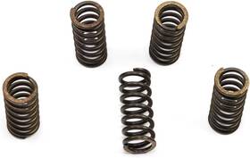 211546 Ebc Csk42 Clutch Springs