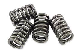 Csk183 Ebc Csk Clutch Spring Kit