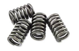 Csk185 Ebc Csk Clutch Spring Kit