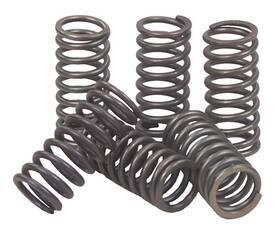 Csk191 Ebc Csk Clutch Spring Kit