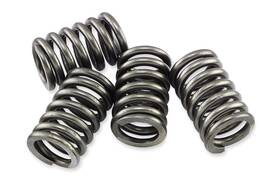 Csk248 Ebc Csk Clutch Spring Kit