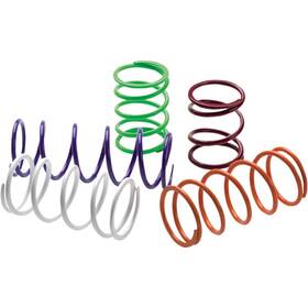 Tatv1 Epi Performance Primary Drive Clutch Springs - Titanium