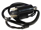 Nachman Ignition Coil