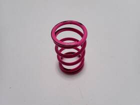 30-210135-013 Polaris 2002 700 Edge X 121 Primary Clutch Spring Pink