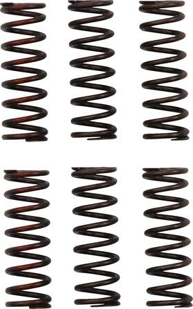 Pro Circuit Csh21450-cs Clutch Springs - Crf 450r