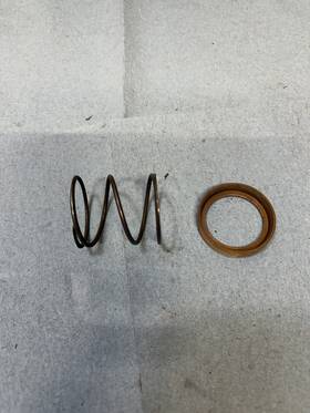 883400 Scorpion 88340/983300 Drive Clutch Spring And Retainer / 983300