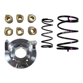 Cka200-2 Speedwerx Clutch Kit For 200cc Youth 0-3000ft. Sleds -