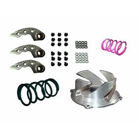 123-174 Straightline Performance Clutch Kit
