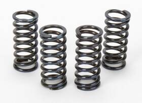 Sk-262 Vesrah Clutch Spring Set