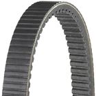 Wp220-25009 Dayco Hpx5009 Snow Mobile 036687316240