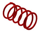 Yps11 Epi Clutch Spring Red