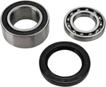 Balls Chain Case Bearing & Seal Kit #14-1011 Arctic Cat. Fixed Price $43.30.