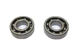 Polaris Oem Bearing Pair (6204) 3231511 Q95. Fixed Price $14.99.