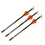 Ravin Crossbow Arrows With Lighted Nocks 400GRAIN (.003") Pak Model # R133. Fixed Price $75.99.