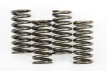 Ebc Clutch Springs #CSK248 Fits Honda FT500 Ascot SINGLE/XL500R. Fixed Price $32.59.