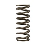 Ebc Clutch Spring Set - CSK264. Fixed Price $24.75.