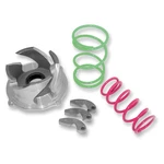 Epi Pro Series Clutch Kit For 2010 Polaris 800 Dragon Iq Snowmobile. Fixed Price $319.09.