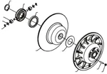 Team Clutch 1/8" Thick Spacer 150229. Fixed Price $18.95.