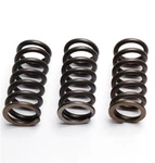 Ebc Clutch Spring Set (3 Pcs) - CSK243. Fixed Price $24.72.