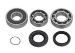 Spi Chain Case Bearing Kit SM-03207. Fixed Price $36.95.