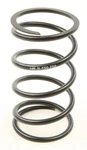 Speedwerx Secondary Springs CCH5-N-150-250. Fixed Price $52.20.