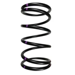 Speedwerx Driven Clutch Spring Black/silver CCH5-L-160-250. Fixed Price $52.20.
